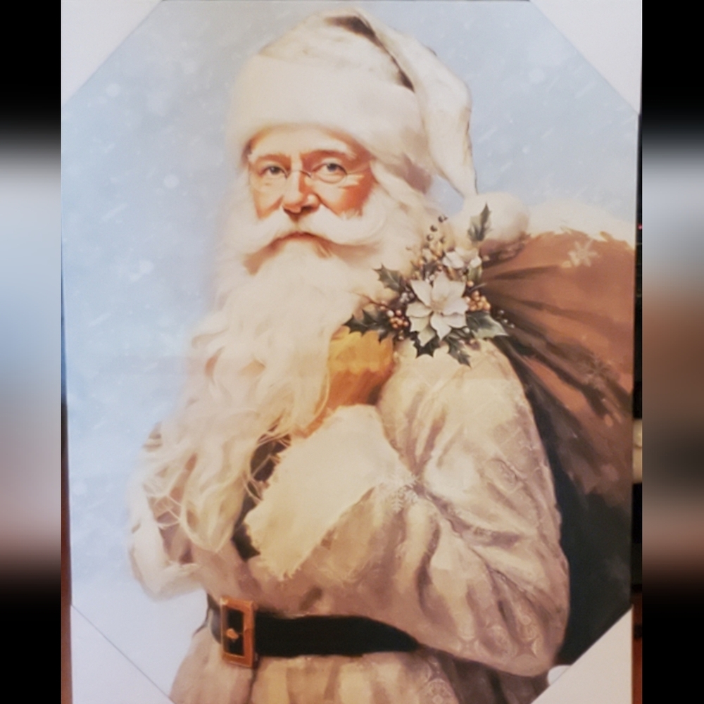 NEW 2025 DOLLAR GENERAL CHRISTMAS SANTA CANVAS. 22"×28. CROSS POSTED